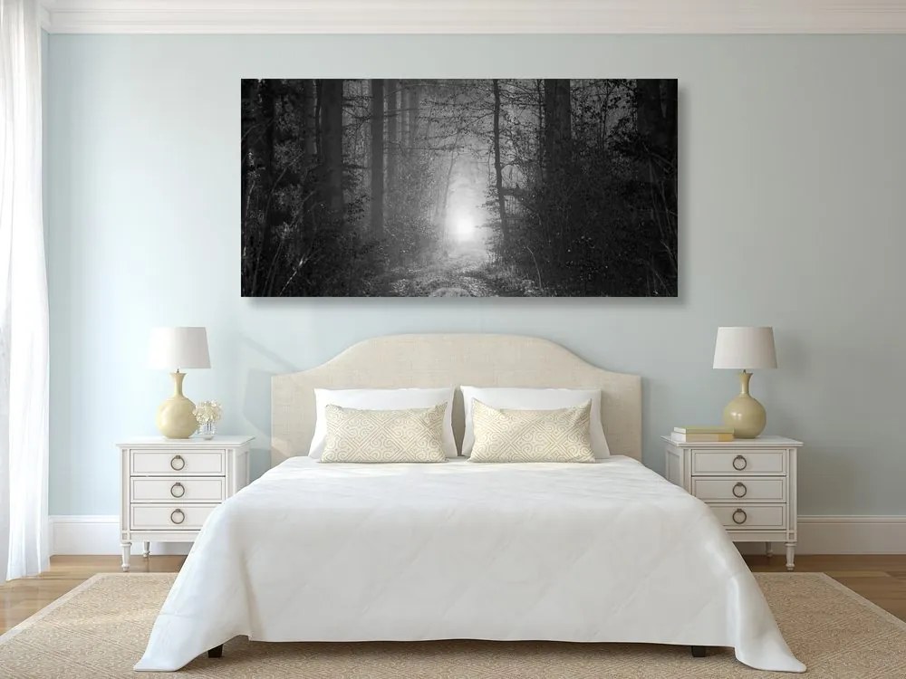 Quadro su tela – Luce nella foresta in bianco e nero