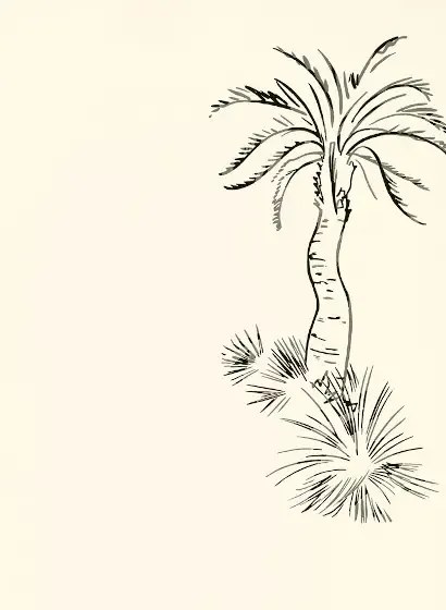 Paint & Paper Library Carta da parati Lighthouse Palm - Pentle