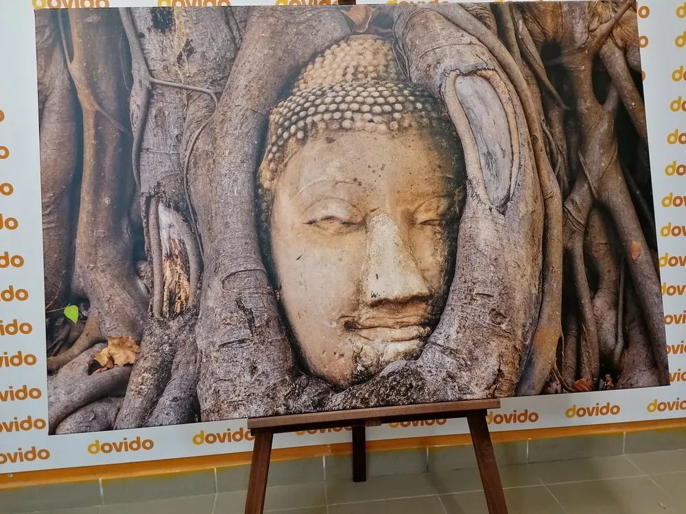 Stampa su tela – Ficus sacro di Buddha
