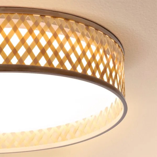 Brilagi - Plafoniera LED dimmerabile CAMILA 48W 230V 3000-6500K + DO