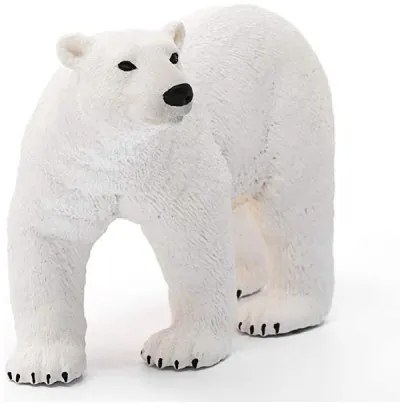 ORSO POLARE (5)