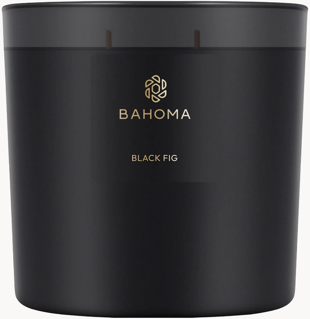Candela profumata Black Fig (fico, anice, foglia verde)