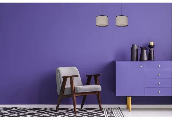 Lampadario a sospensione con filo NEXO 2xE27/60W/230V