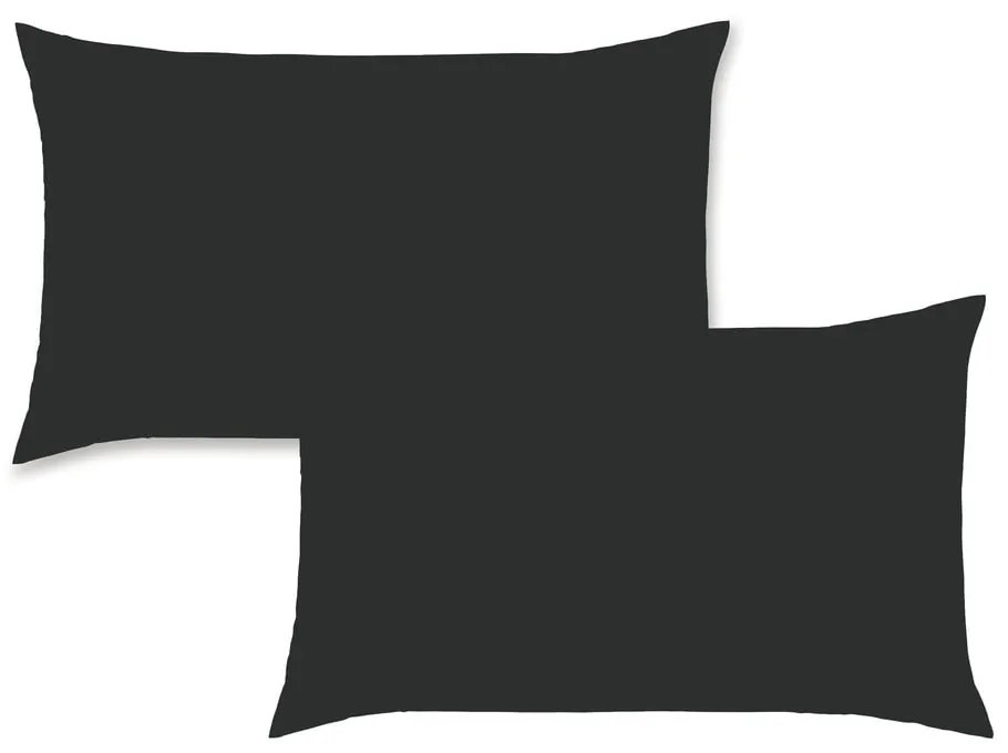 Federe per cuscino in set in percalle 2 pz 75x50 cm Easy Iron Percale – Catherine Lansfield