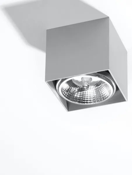 Luce Spot BLAKE 1xGU10/40W/230V