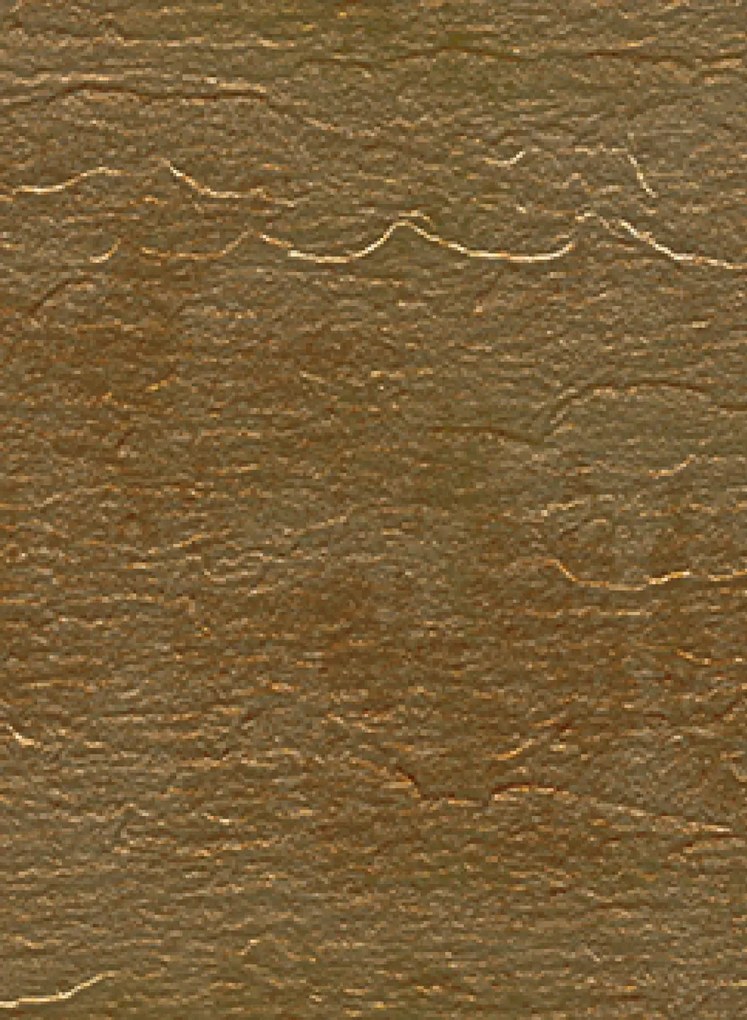Élitis Carta da parati Hope Metal - VP 870 04