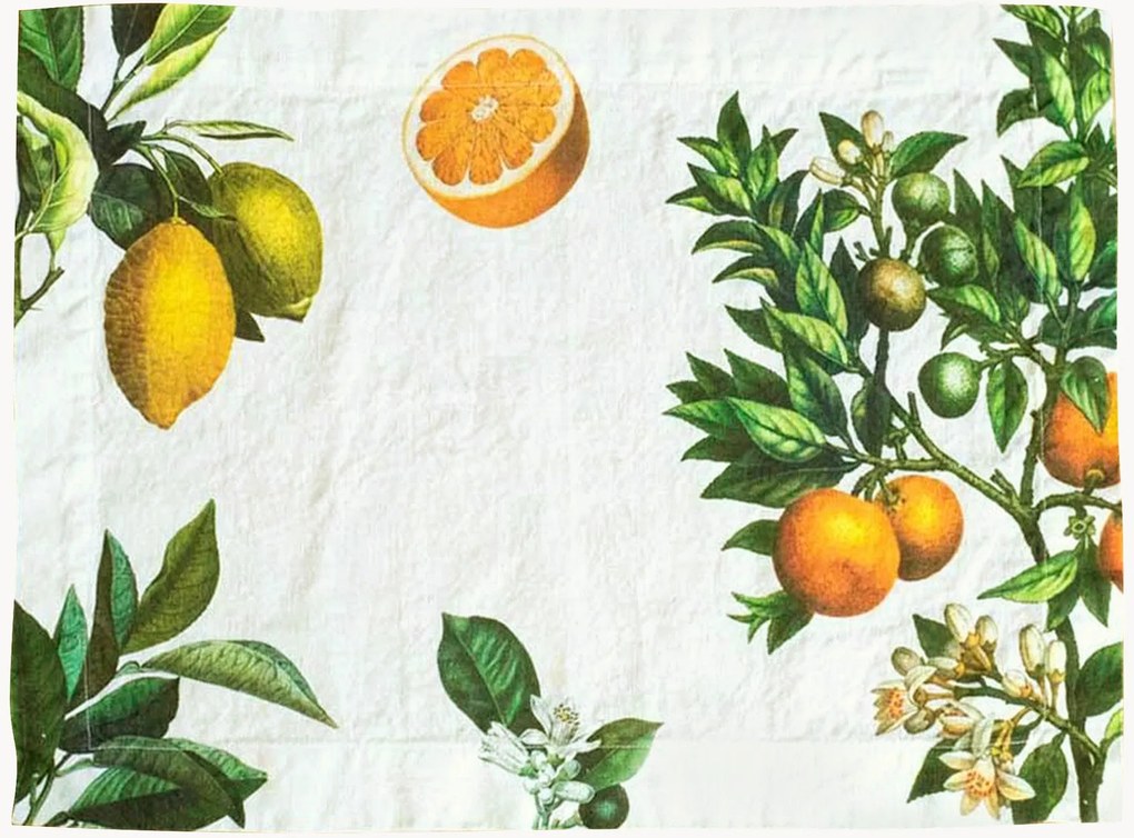 Set di 2 tovagliette americane in lino Citruses