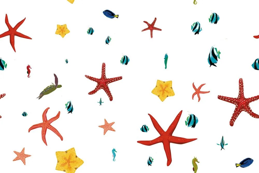 Carta da parati – Tesori del mare