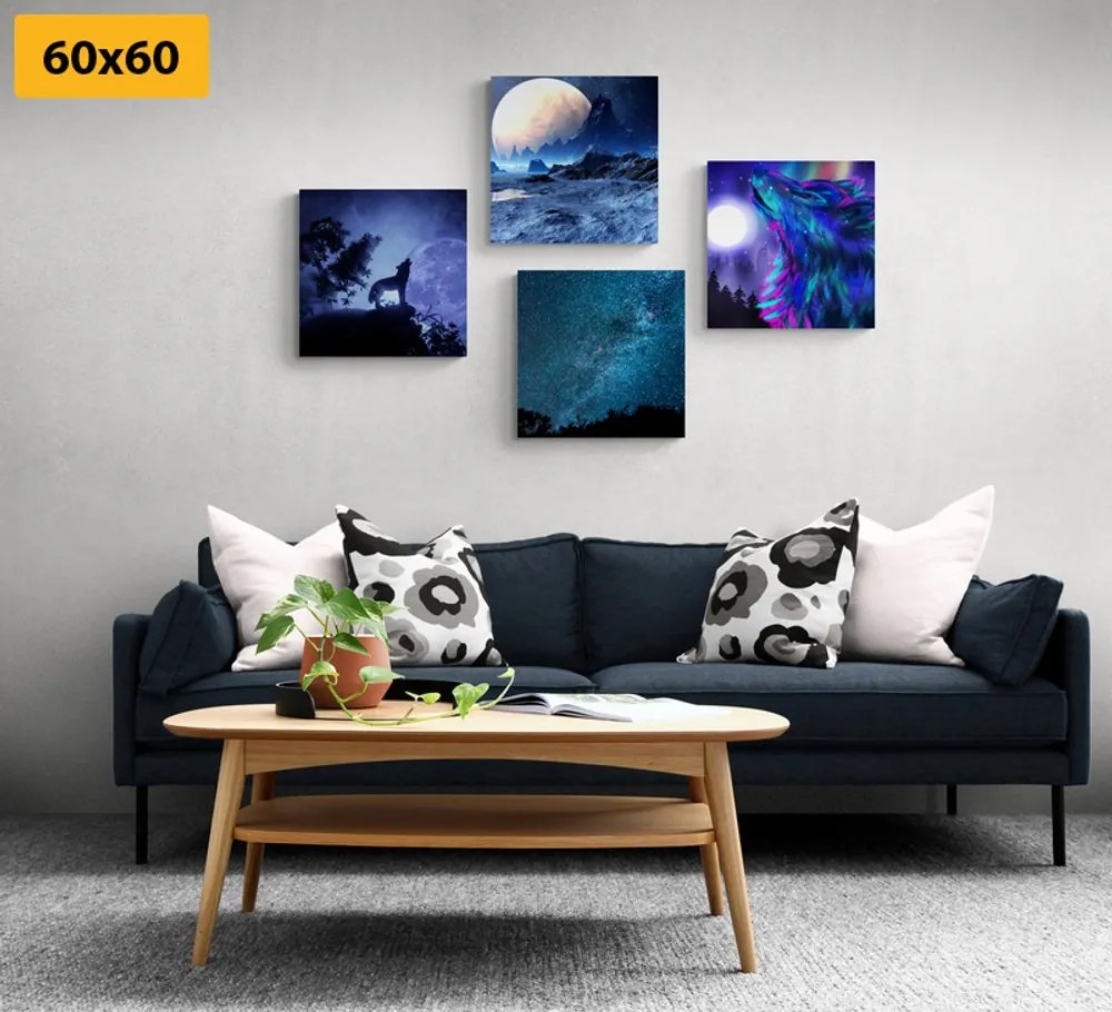 Set di quadri – Lupo misterioso