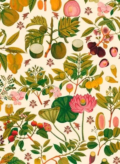 Mindthegap Carta da parati Asian Fruits and Flowers - Cream