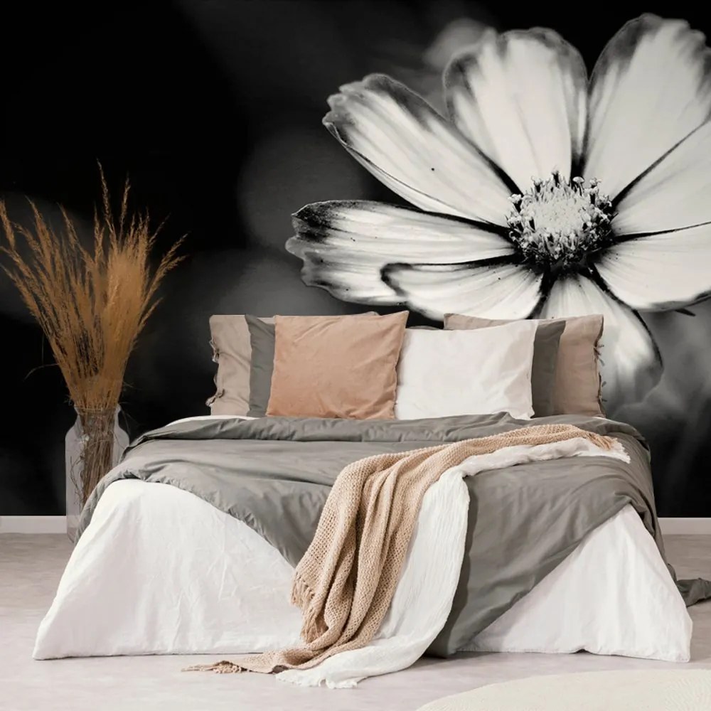 Carta da parati – Fiore di cosmea da giardino in bianco e nero