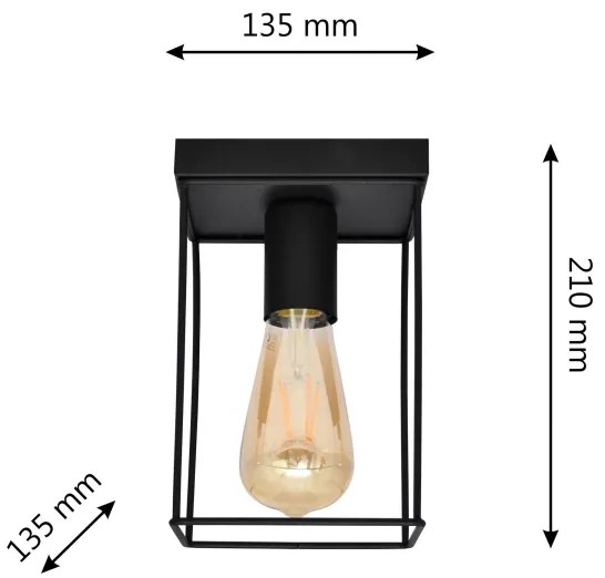 Plafoniera FINN 1xE27/15W/230V nero
