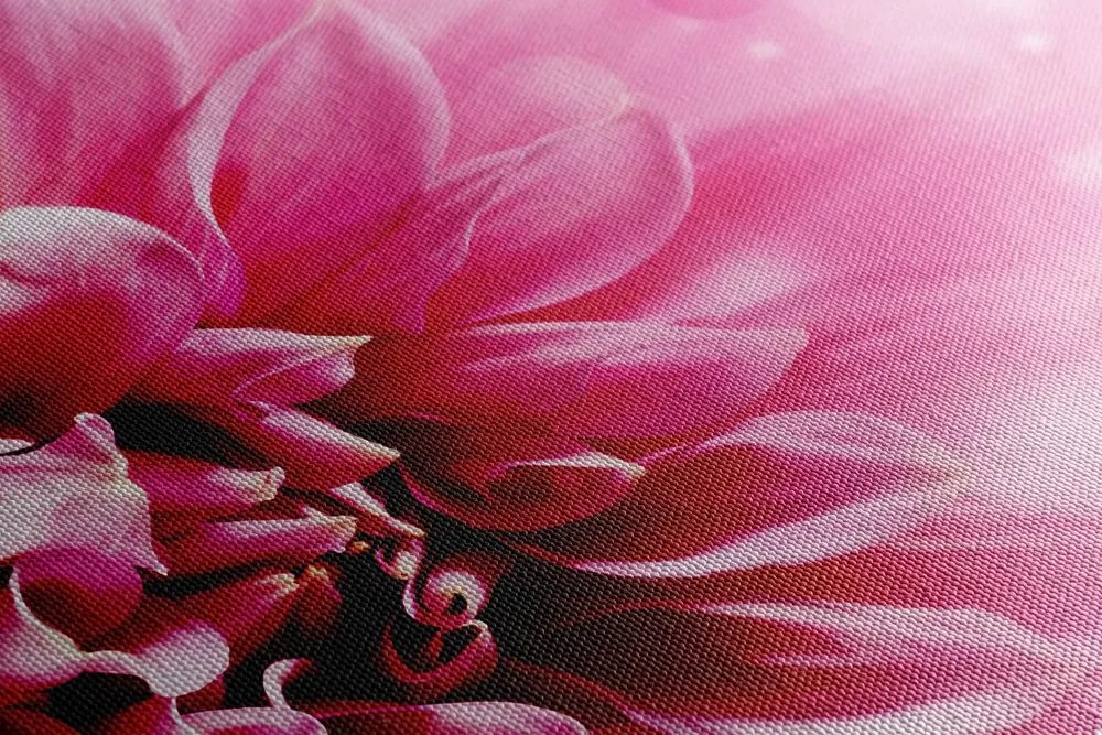 Stampa su tela – Fiore rosa