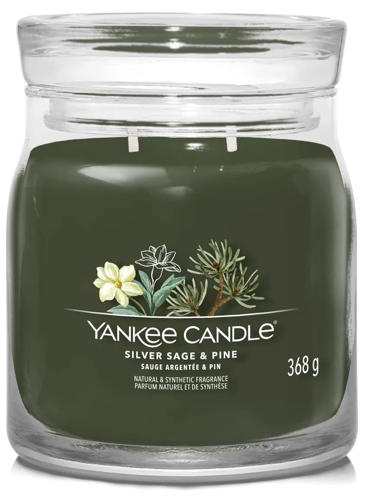 Silver Sage Pine, candela giara media Yankee Candle