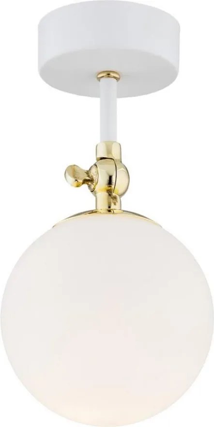 Argon 4002 - Plafoniera da bagno a montaggio superficiale LATINA 1xE14/7W/230V IP44 bianco/oro