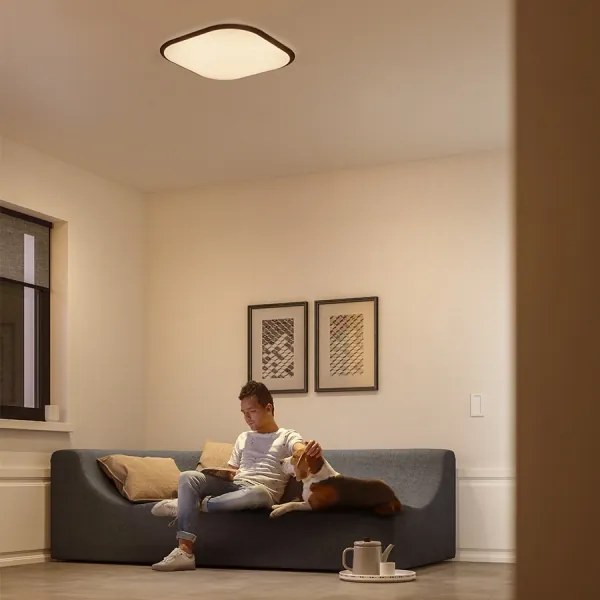 Philips 32810/31/P0 - Plafoniera LED dimmerabile CANAVAL LED/18W/230V