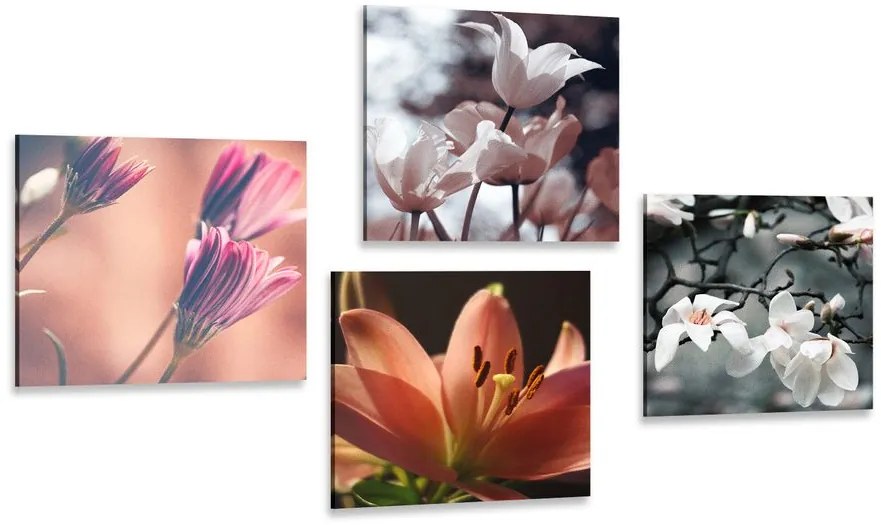 Set di quadri – Delicatezza dei fiori