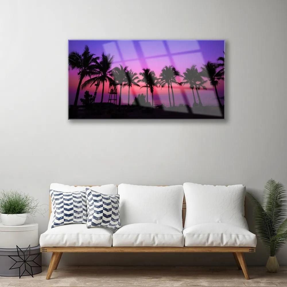 Quadro su vetro acrilico Paesaggio delle palme 100x50 cm