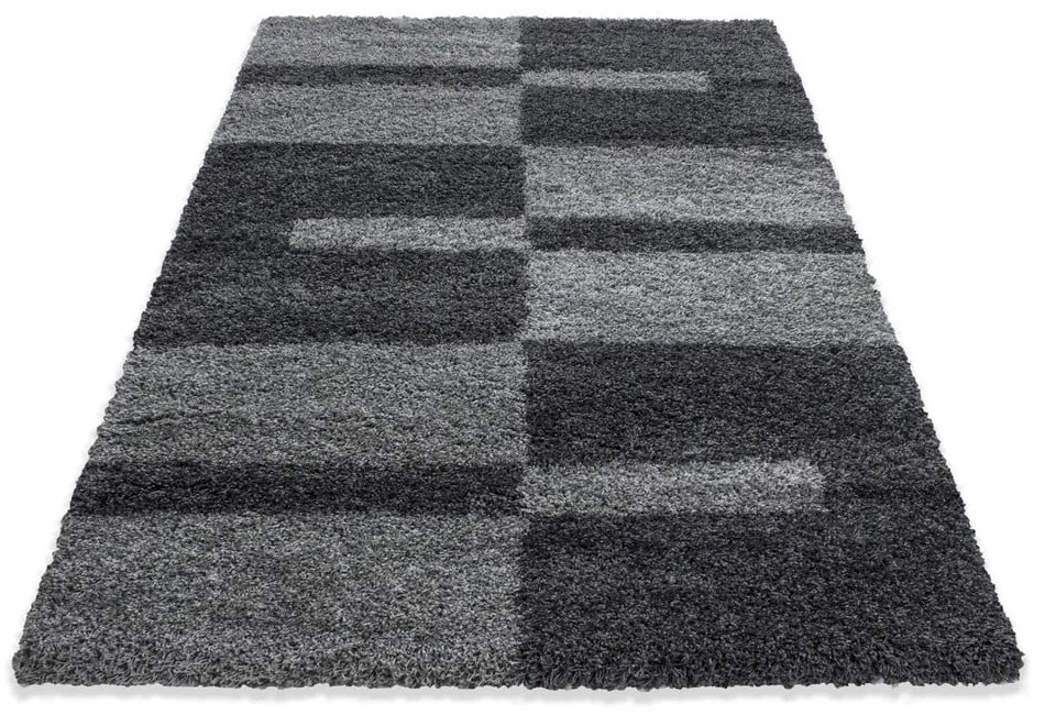 Tappeto grigio scuro 120x170 cm Gala - Ayyildiz Carpets