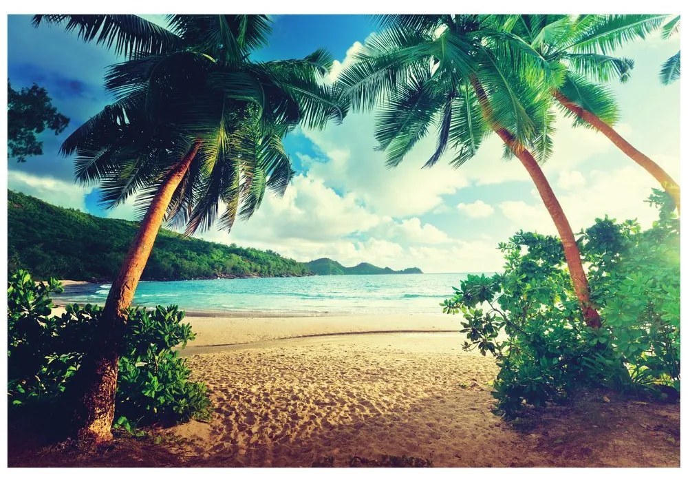 Carta da parati – Tramonto sull'isola di Seychelles