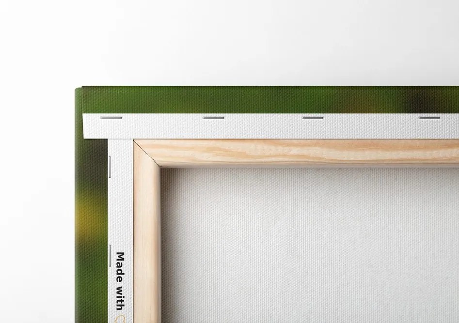 Quadro su tela – Fiore di margherita