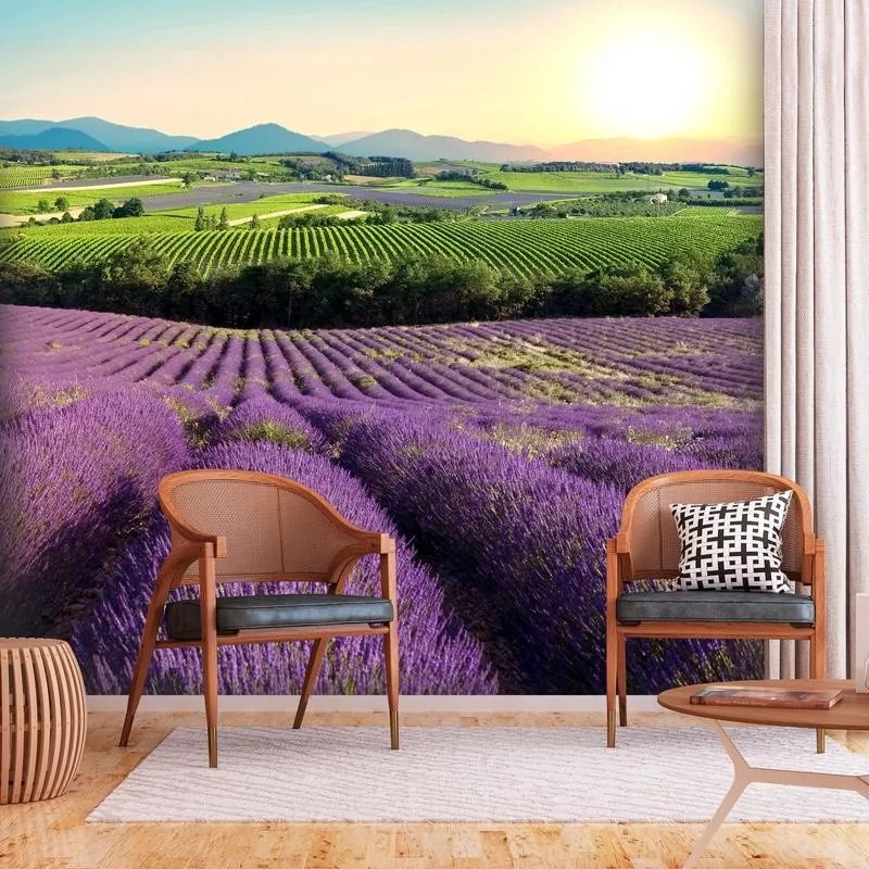 Fotomurale  Lavender Field  Larghezza x Altezza Home decor 100x70