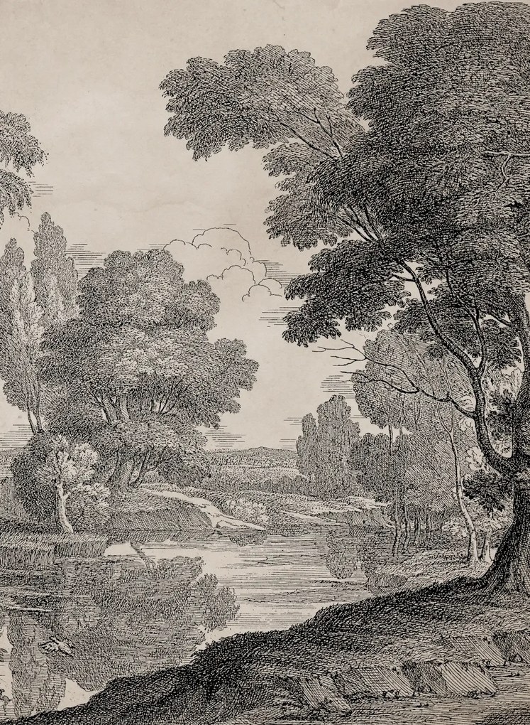 Coordonne Carta da parati panoramica Engraving - Ink