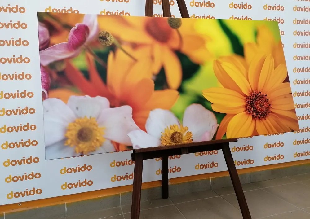 Quadro su tela – Bouquet estivo