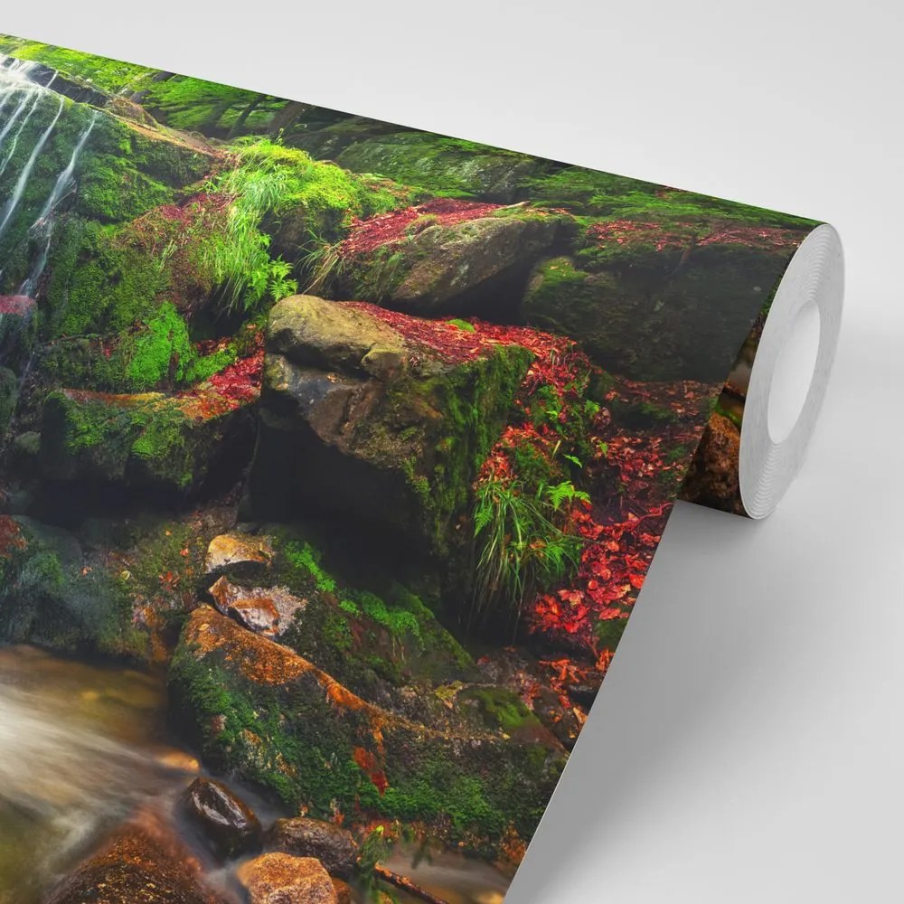 Carta da parati autoadesiva – Cascata nella foresta