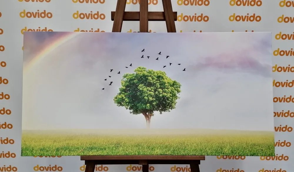 Stampa su tela – Albero solitario nel prato