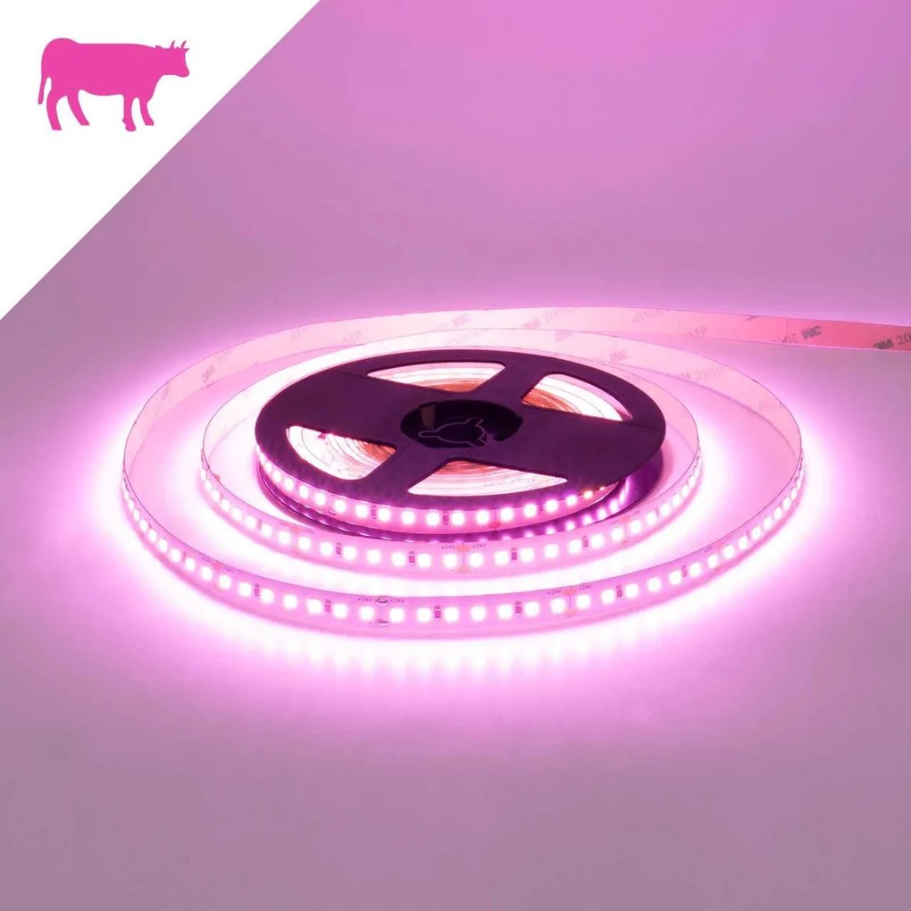 Striscia LED Professional per Banco Carni