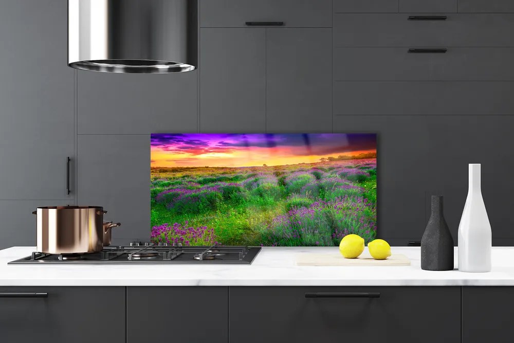 Pannello paraschizzi cucina Prato Natura 120x60 cm