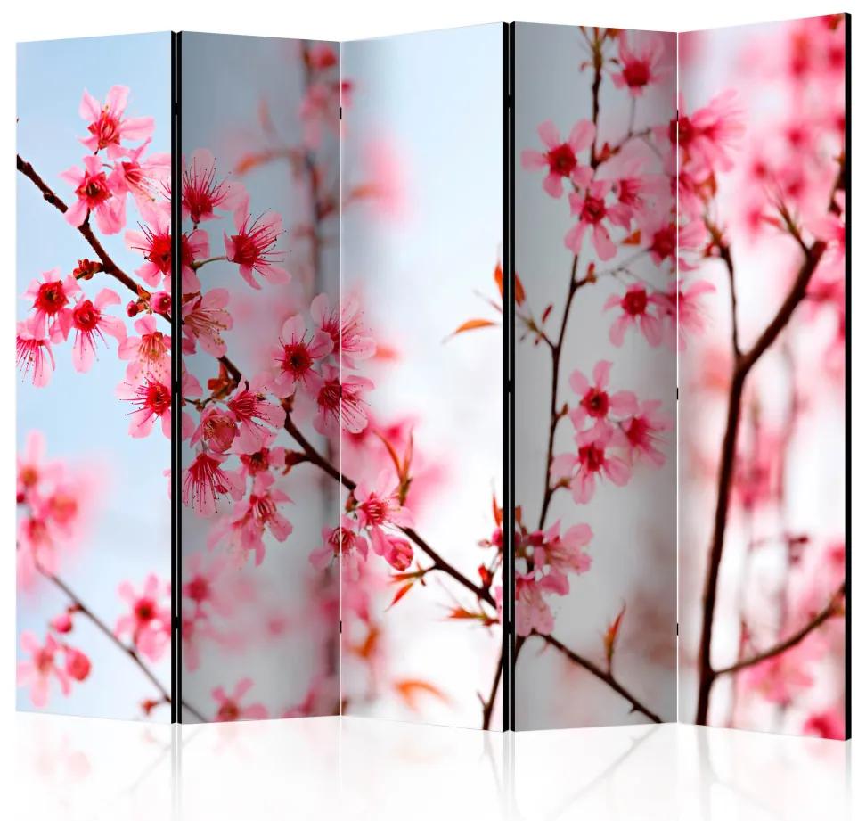 Paravento design Simbolo del Giappone - sakura II (5 części) - fiori di ciliegio