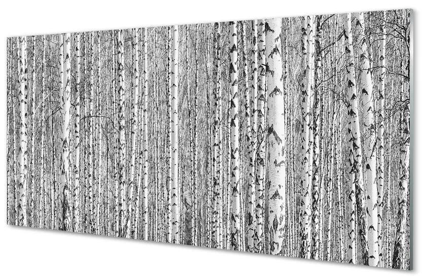 Quadro in vetro Foresta di alberi in bianco e nero 100x50 cm
