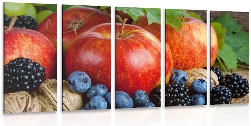 Quadri 5 pezzi – Raccolto autunnale