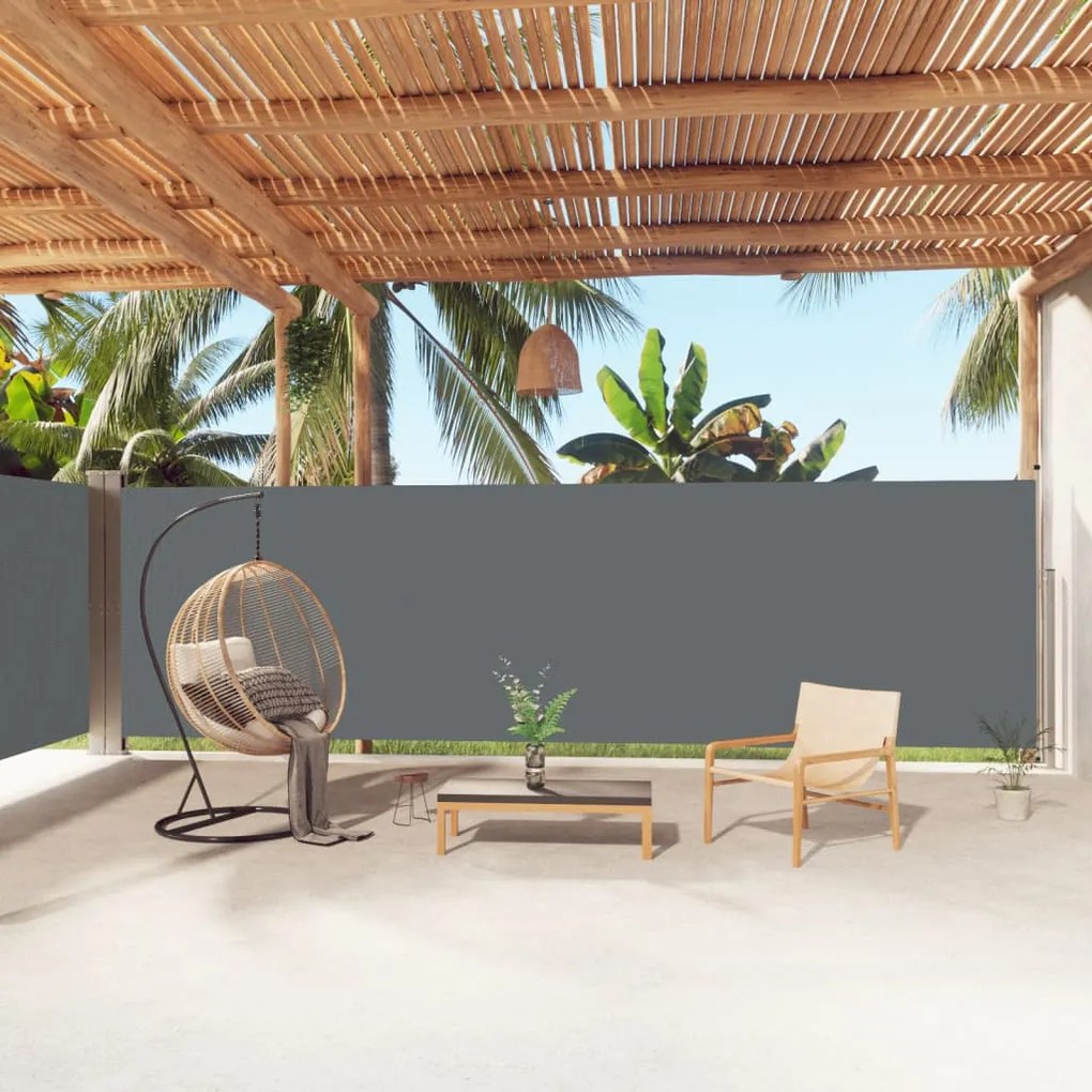 Tenda Da Sole Laterale Retrattile Antracite 180x1000 Cm /