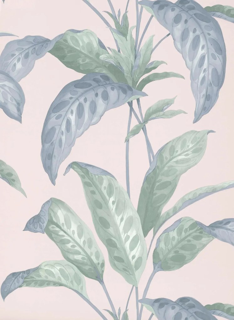 Paint & Paper Library Carta da parati Tropicane - Plaster