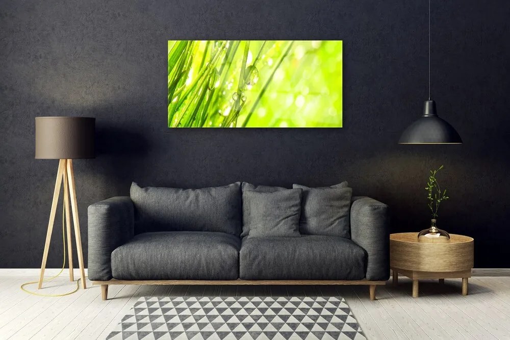 Quadro su vetro Gocce di Natura Erba 100x50 cm