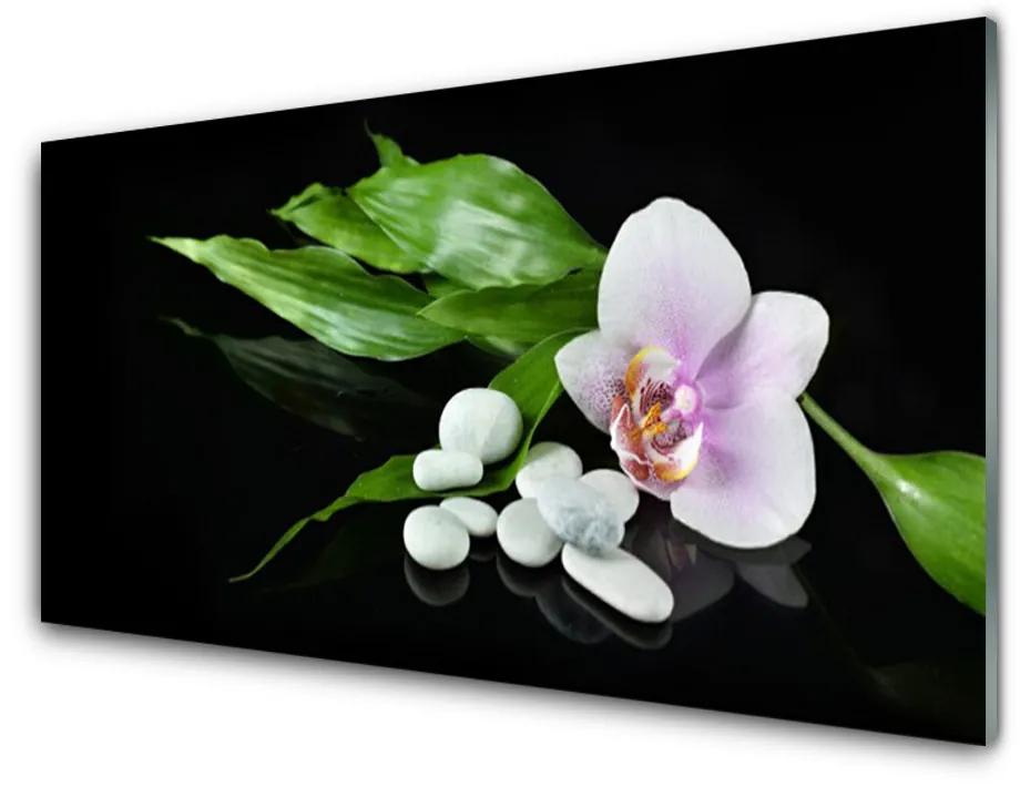 Pannello paraschizzi cucina Foglie di pietre di fiori 100x50 cm