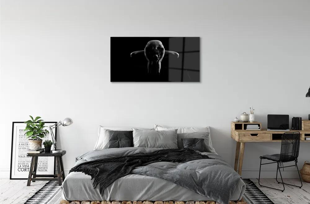 Quadro acrilico Donna in bianco e nero 100x50 cm