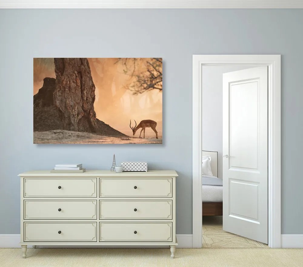 Quadro su tela – Antilope africana
