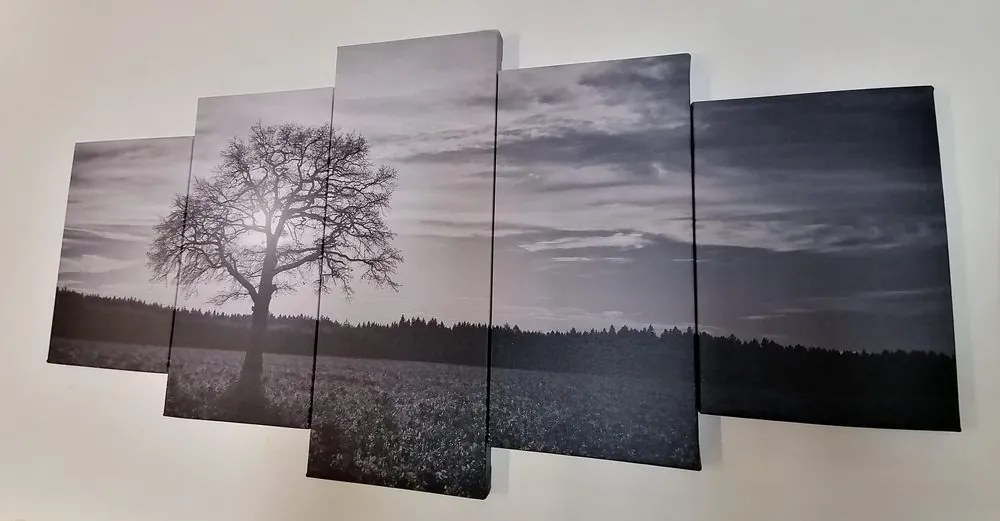 Quadri 5 pezzi – Albero solitario in bianco e nero