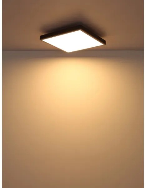 Globo 416080AD2 - Plafoniera LED DORO LED/24W/230V 3000K 45x45 cm