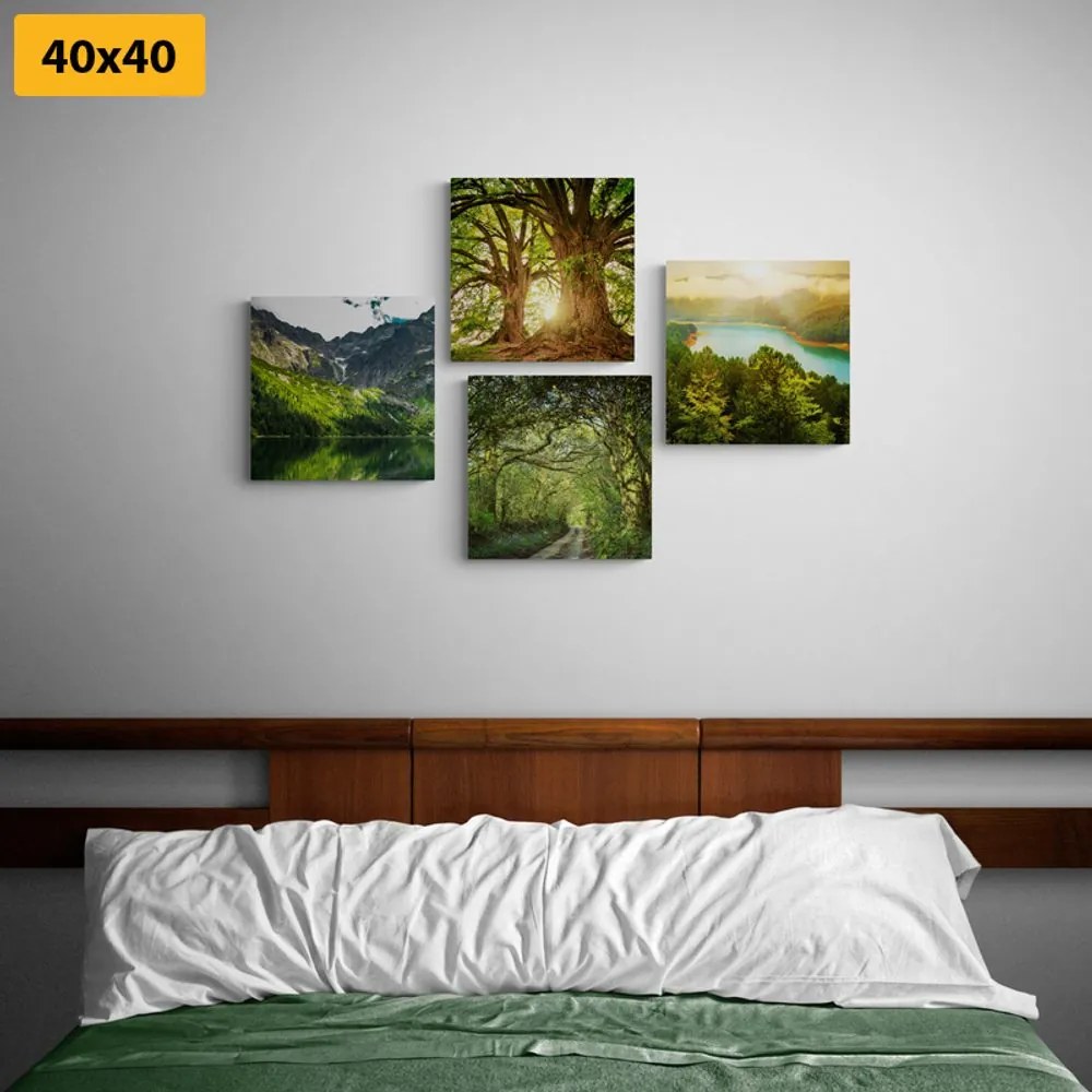 Set di quadri – Splendida natura verde