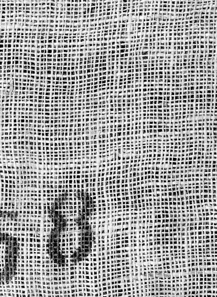 Coordonne Carta da parati panoramica Sacking - White