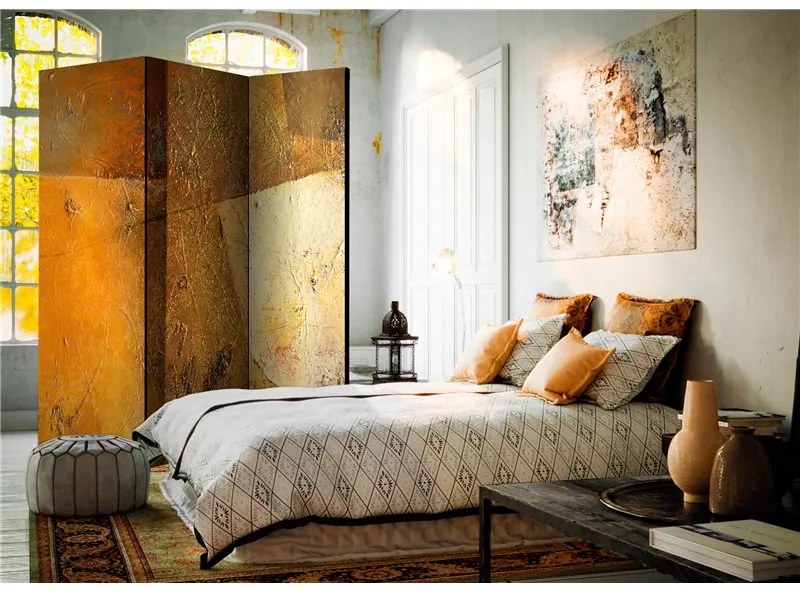 Paravento Modern Artistry [Room Dividers]