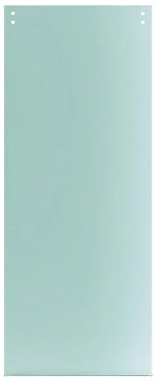 Anta per porta scorrevole esterno muro Neutra in vetro, L 96 x H 215 cm spessore 10 mm, apertura sinistra