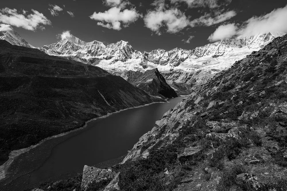Fotomurale – Parco Patagonia in Argentina in bianco e nero