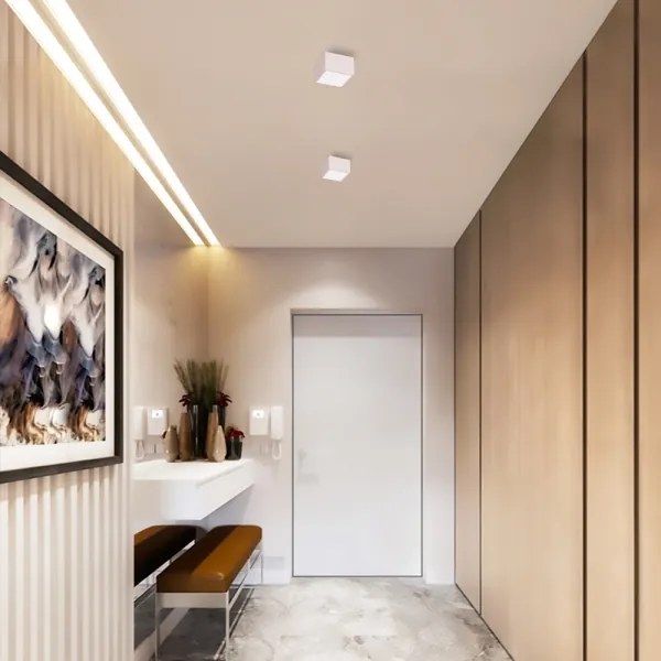 Immax NEO 07072L-15 - Lampada LED dimmerabile CANTO LED/12W/230V + T bianca