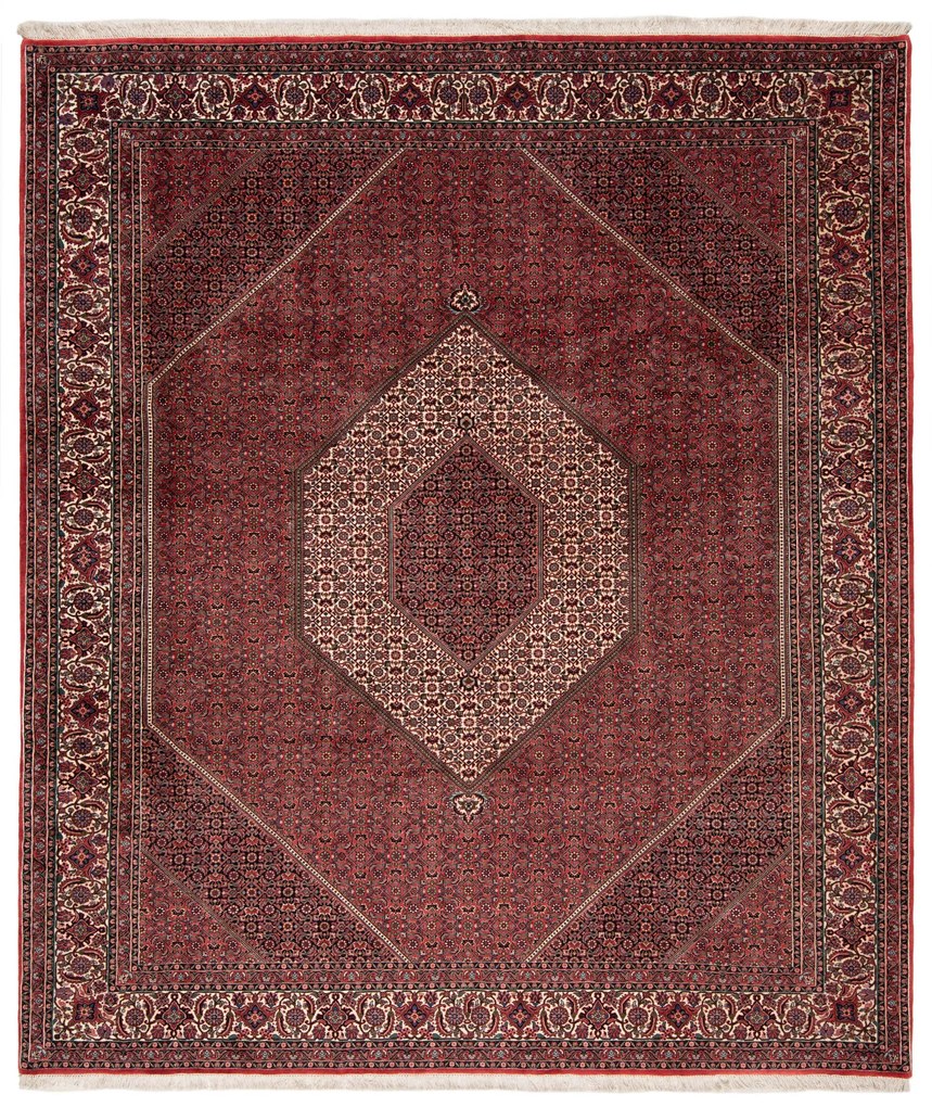 Bidjar Tappeto 260x300 (Iran) Annodato A Mano